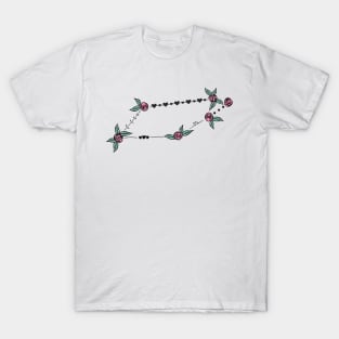 Telescopium Constellation Roses and Hearts Doodle T-Shirt